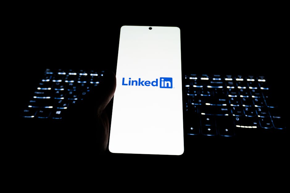 The Essential Role of Backlink Companies in SEO Strategy