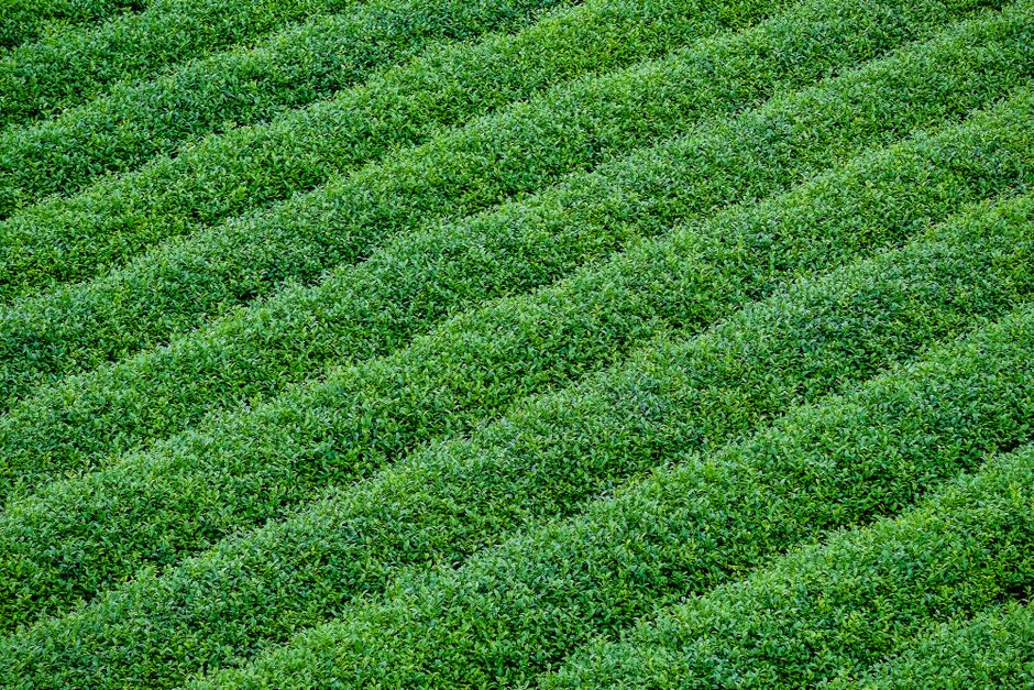 organic agricultural supplies
