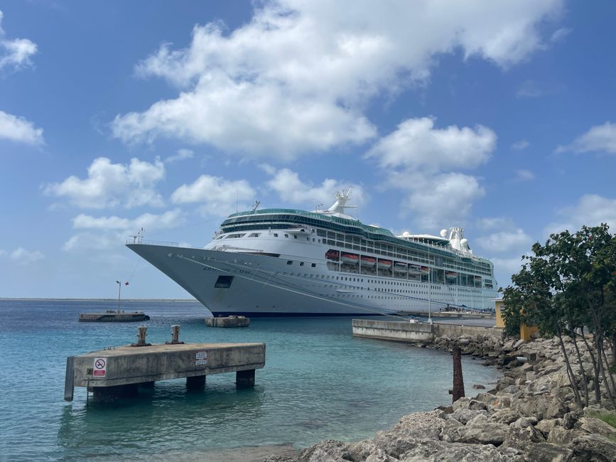 Unlocking the Best Cruise Deals for Your Next Adventure