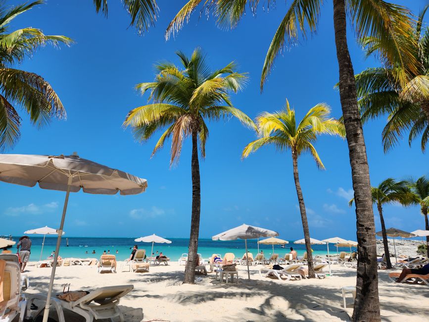 Discover the Best Vacation Packages for Your Next Getaway