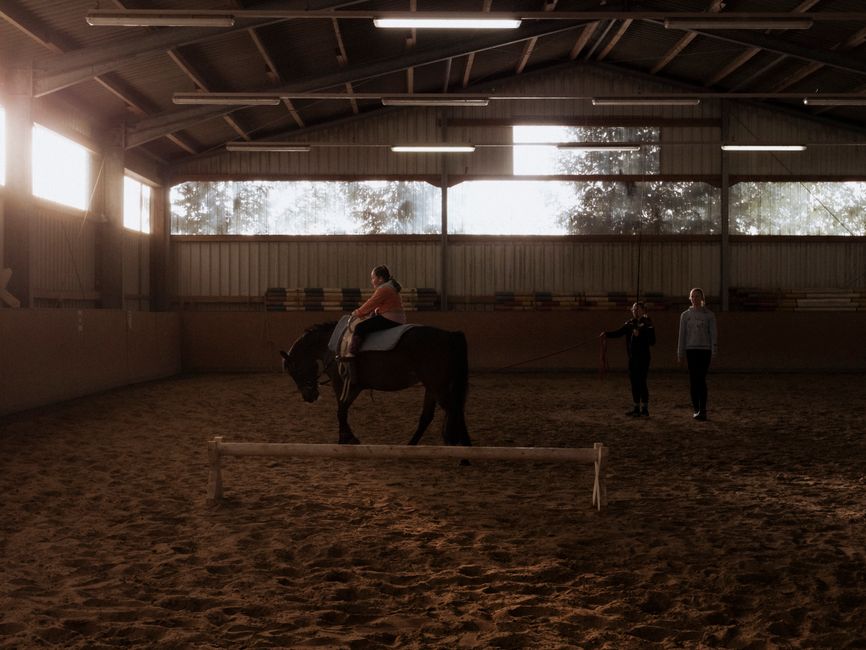 Unlocking the Joy of Horse Riding Lessons