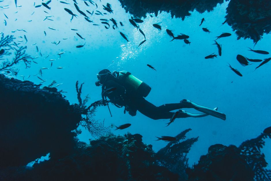 La Guía Completa para Obtener tu Certificación de Buceo